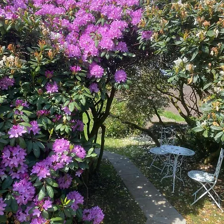 Hassel * Wiefelstede