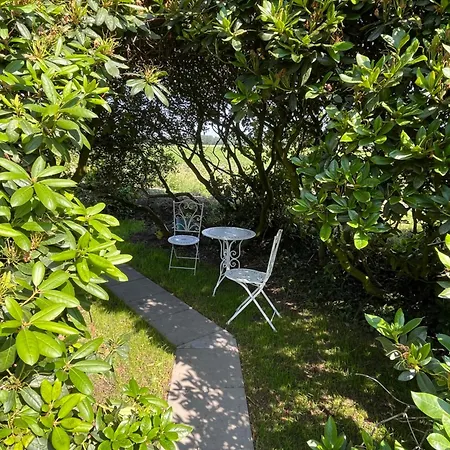 Hassel Апартаменты Wiefelstede